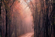 PG电子官网入口-RB莱比锡主场惜败，可惜一球之差